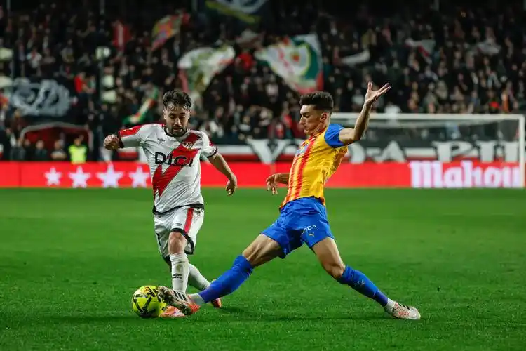 雨燕体育直播在线直播